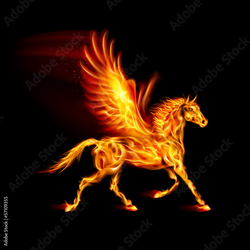 Vector: Fire Pegasus. Fire Pegasus.