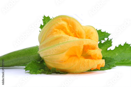 Photo: fleurs de courgette fleurs de courgette