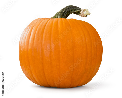 Photo: pumpkin pumpkin