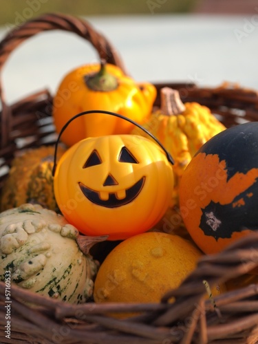 Photo: ハロウィンかぼちゃ ハロウィンかぼちゃ