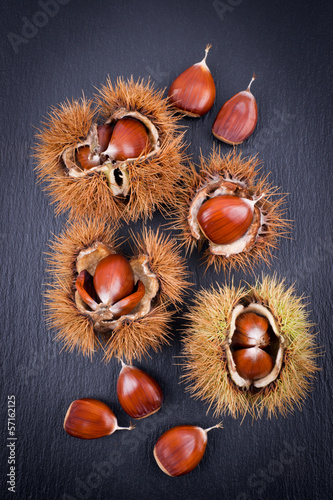 Photo: Esskastanien Esskastanien