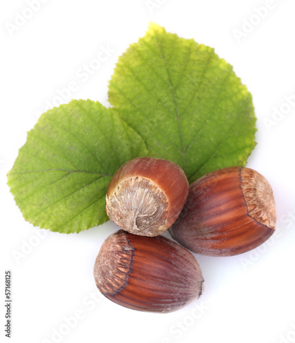Photo: hazelnuts isolated on white hazelnuts isolated on white