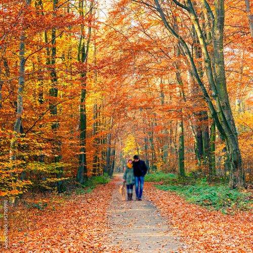 Photo: Colorful autumn park Colorful autumn park