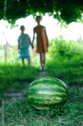 Photo: Watermelon is on the trail Watermelon is on the trail
