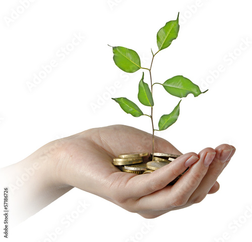 Photo: Investing to green business Investing to green business