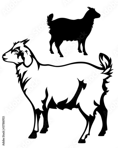 Vector: cute goat black and white vector outline cute goat black and white vector outline