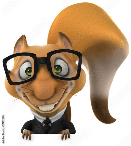 Illustration: Squirrel Squirrel