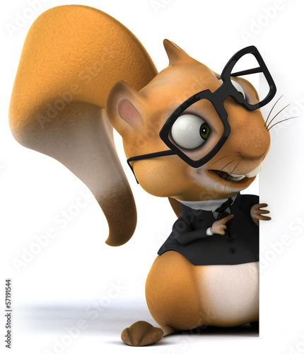 Photo: Squirrel Squirrel