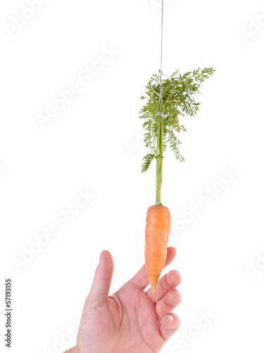 Photo: Carrot and stick approach Carrot and stick approach