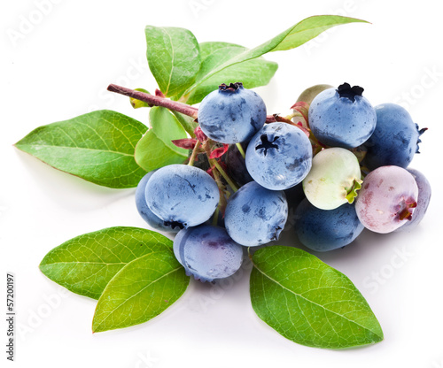 Photo: Blueberries with leaves on a white background. Blueberries with leaves on a white background.