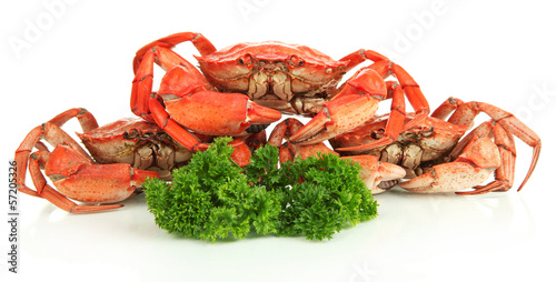 Photo: Boiled crabs isolated on white Boiled crabs isolated on white