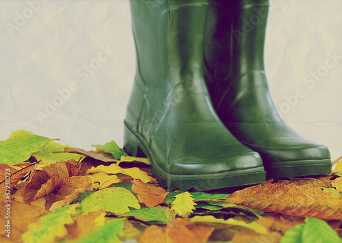 Photo: boots leaves paper boots leaves paper