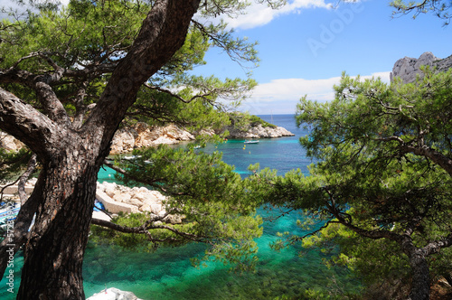 Photo: Calanques of Port Pin in Cassis in France Calanques of Port Pin in Cassis in France