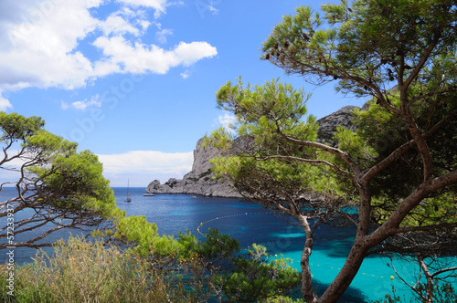 Photo: Calanques of Port Pin in Cassis in France Calanques of Port Pin in Cassis in France