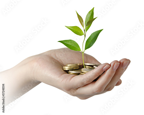 Photo: Investing to green business Investing to green business