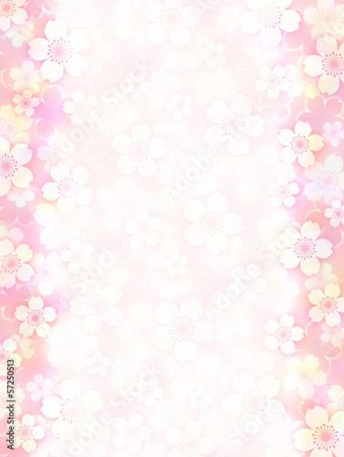 Illustration: Sakura Background Sakura Background