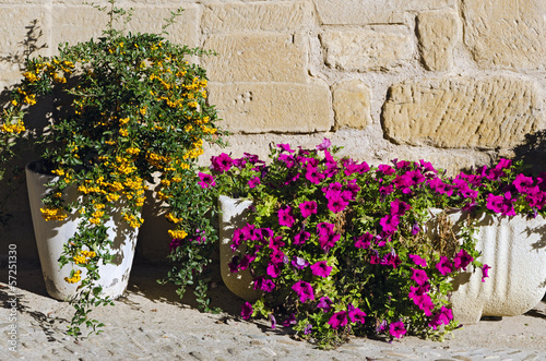 Photo: Two Pots Two Pots