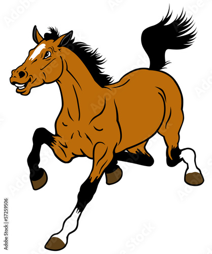Vector: cartoon horse cartoon horse