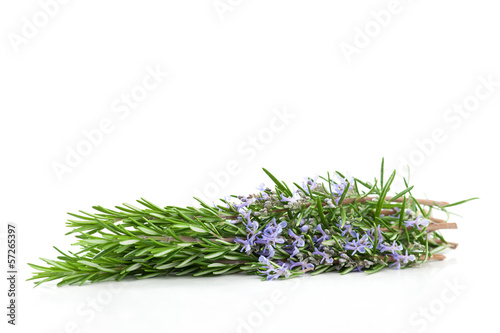 Photo: Frische Rosmarin Frische Rosmarin