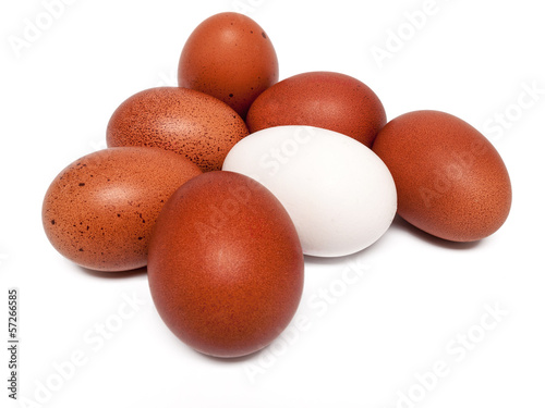 Photo: Eier Eier