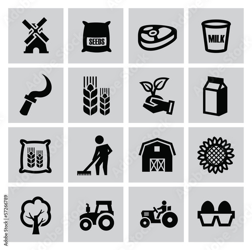 Vector: agriculture and farming agriculture and farming