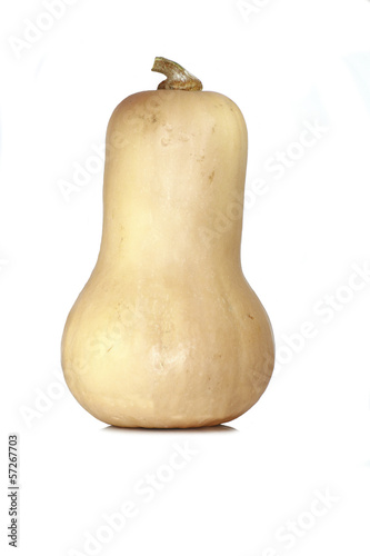 Photo: courge butternut courge butternut