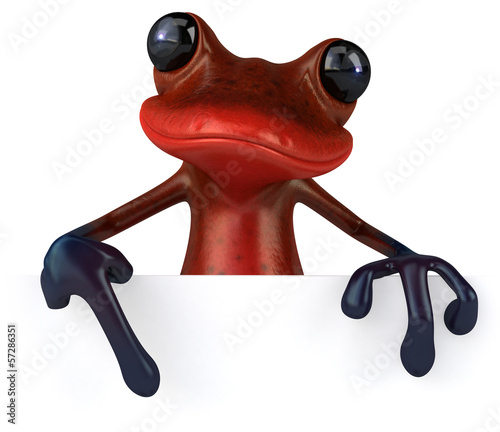 Illustration: Red frog Red frog