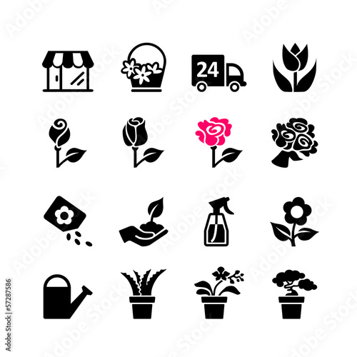 Vector: 16 Web icon set - florist, flower shop, bouquet, pot 16 Web icon set - florist, flower shop, bouquet, pot