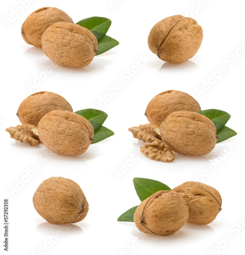 Photo: walnuts on white background walnuts on white background
