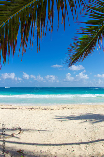 Photo: tropical sea tropical sea