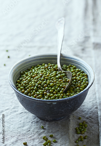 Photo: Mung Bean Mung Bean