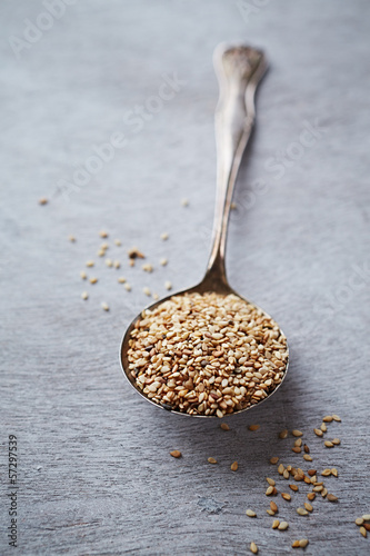 Photo: Sesame Seeds Sesame Seeds