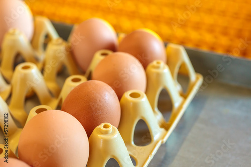Photo: Crate with fresh eggs on top of a conveyor belt Crate with fresh eggs on top of a conveyor belt