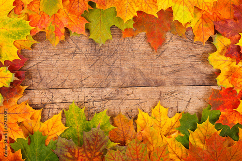 Photo: Fall leaf border Fall leaf border