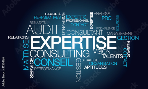 Illustration: Expertise audit conseil consultant tagcloud mots illustration Expertise audit conseil consultant tagcloud mots illustration