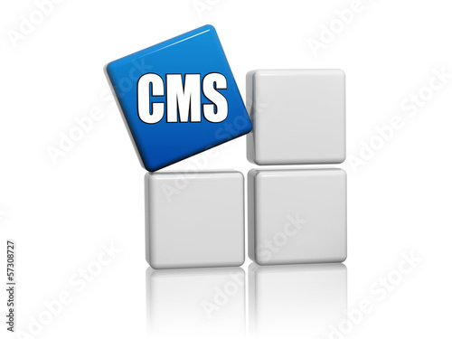 Illustration: blue cube with letters CMS on boxes blue cube with letters CMS on boxes