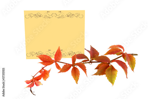 Photo: аutumn branch with yellow leaves and a note аutumn branch with yellow leaves and a note