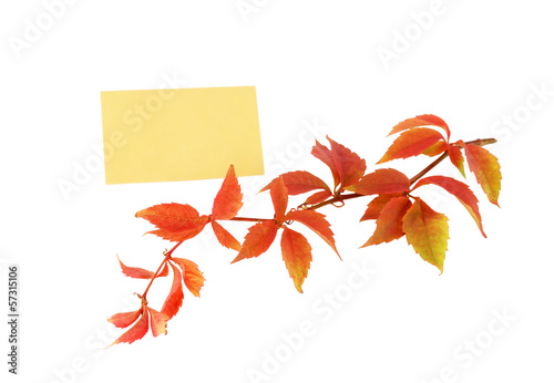 Photo: аutumn branch with yellow leaves and a note аutumn branch with yellow leaves and a note