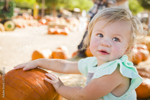 Photo: Adorable Baby Girl Having Fun at the Pumpkin Patch. Adorable Baby Girl Having Fun at the Pumpkin Patch.