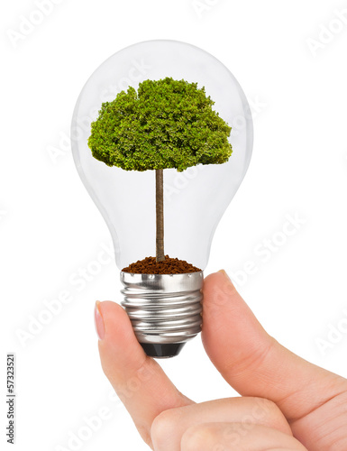 Photo: Hand with lamp and tree Hand with lamp and tree