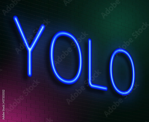 Illustration: YOLO concept. YOLO concept.