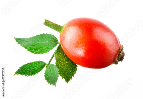Photo: Rose hip. One berry isolated on a white background. Rose hip. One berry isolated on a white background.