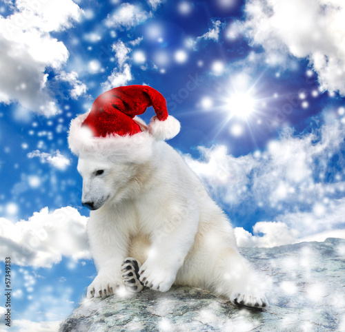 Photo: Weihnachtsbär :) Weihnachtsbär :)