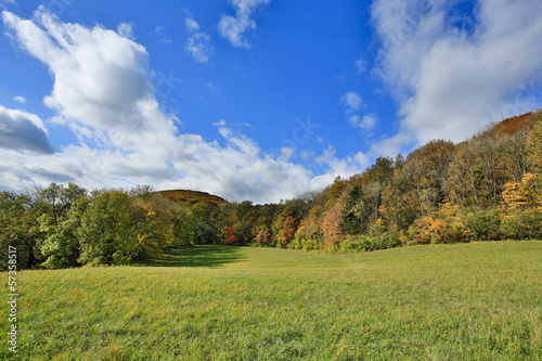 Photo: Wienerwald im Herbst Wienerwald im Herbst
