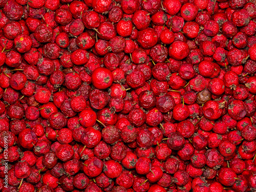 Photo: Dried rosehips. Dried rosehips.