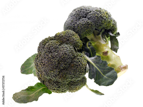 Photo: Broccoli Broccoli