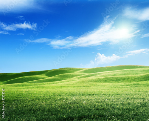 Photo: field of grass and perfect sky field of grass and perfect sky