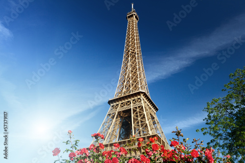 Photo: sunny morning and Eiffel Tower, Paris, France sunny morning and Eiffel Tower, Paris, France