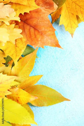 Photo: Bright autumn leafs on blue wooden table Bright autumn leafs on blue wooden table