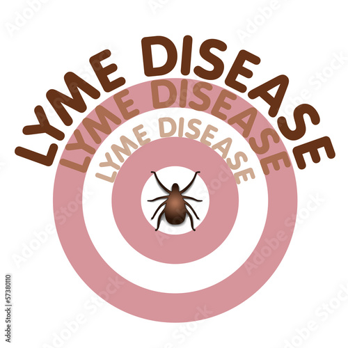 Vector: Lyme Disease, Tick, Bulls-eye Lyme Disease, Tick, Bulls-eye